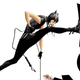 Illustration for article titled emCatwoman/em And The Rest Of The Best DC Comics Coming In November